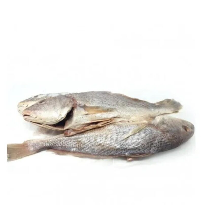Croaker