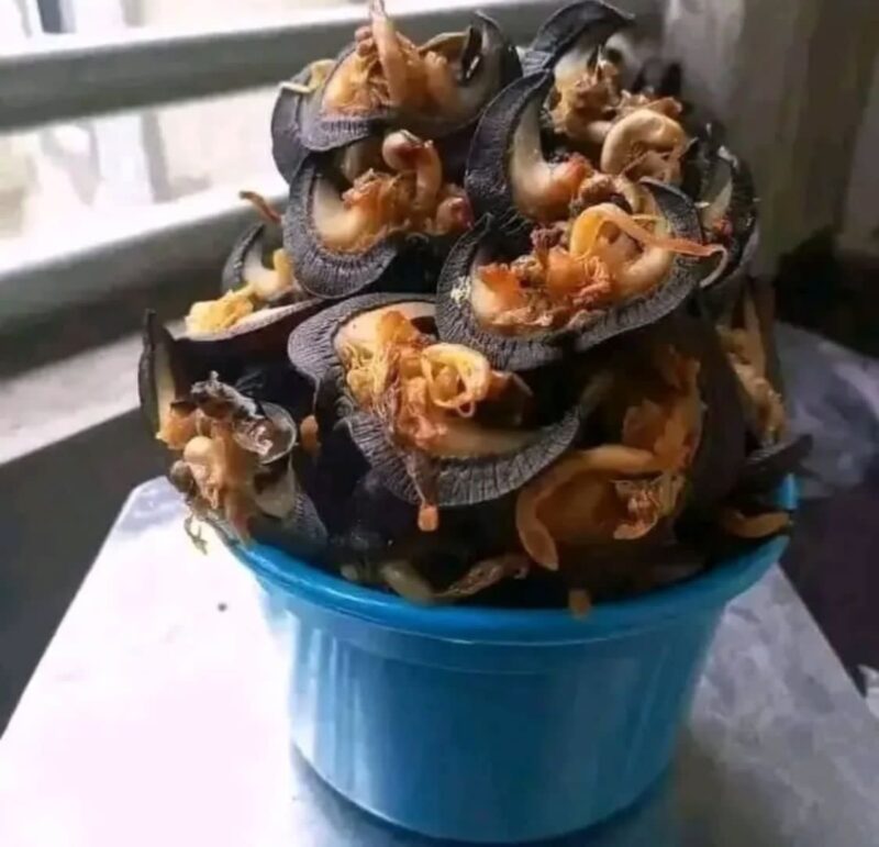 Dehydrated snails (8 pcs)