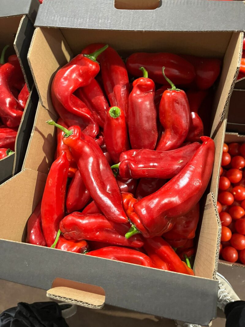 Long Pepper