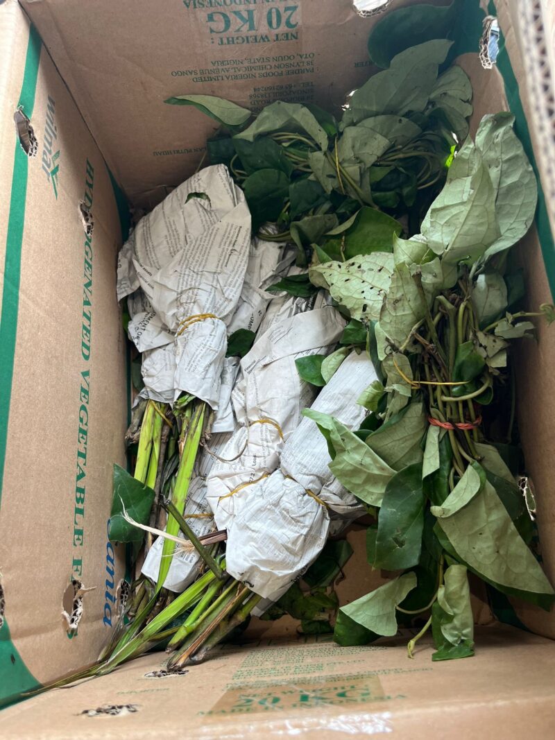 Uziza (per bunch)